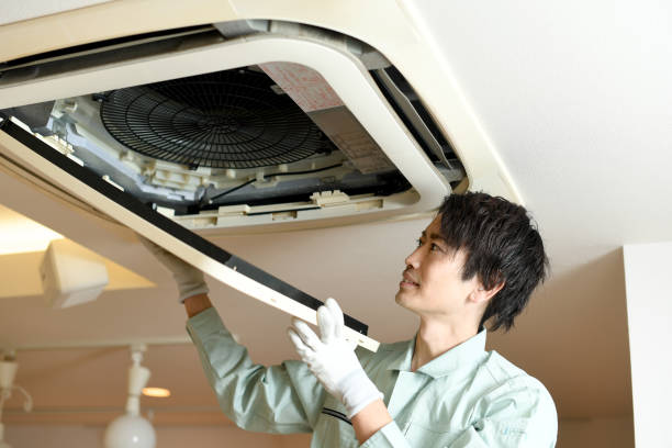 Best Local Air Duct Cleaning Services  in Whitesburg, KY